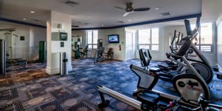 The Veridian Gallery 82