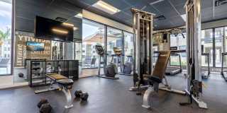 Harbor Grove Gallery 20