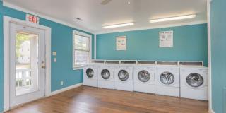 Cottage Grove Gallery 29