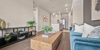 Avasa Spring Branch Gallery 25