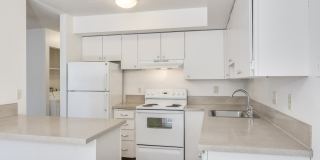 Englewood Terrace Gallery 21