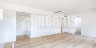 Remodeled Home with NO HOA Gallery 12