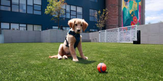 The Poplar Gallery 45