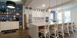 Novus Westshore Gallery 5