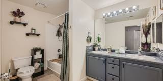 1 bed 1 bath w/ near DIA! $500 MOVE IN SPECIAL Gallery 4