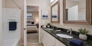 5167 Monterey Pine Lane Gallery 32