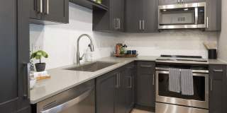 Live 8 West Gallery 15