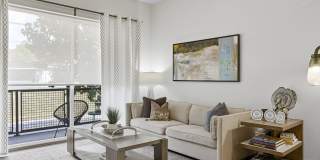 5 Points Northshore Gallery 5