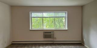 Birch Tree Court Gallery 9