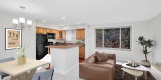 Rosslyn Vue Gallery 24