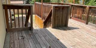 STUDENTS WELCOME! 4 Bed 2 Bath Home in West Ft Collins w/ Garage and Fenced Yard Gallery 13