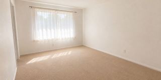 12245 Shady Hollow Ln Gallery 15