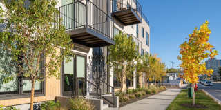 Riverline Gallery 38