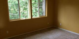 Dynamite 4 Bed, 2.5 Bath SW Home With All the Bells & Whistles Gallery 19