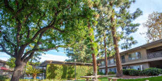 Saddleback Pines Gallery 13