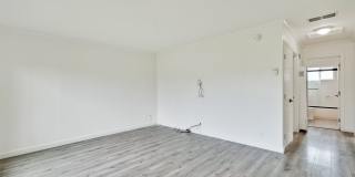 Rare 2 Bed 1 Bath Home with Huge Private Backyard Gallery 6