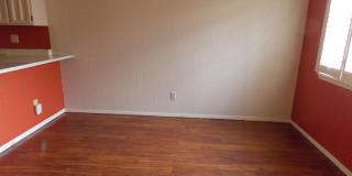 3107 ISLA VERDE Circle Gallery 8