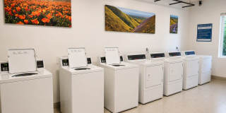 Harbor View Villas Gallery 32