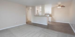 Volterra at La Mesa Gallery 88