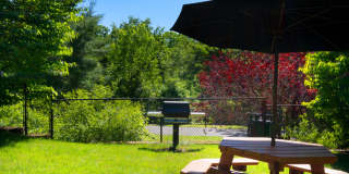 The Point at Still River Gallery 16