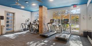 The Vance at Huebner Oaks Gallery 18