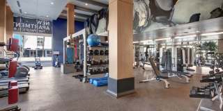 The Pacific Gallery 13