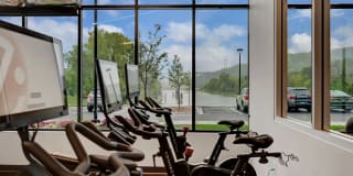 Waterford Bay Gallery 27