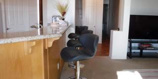 49544 Wayne Street Gallery 21