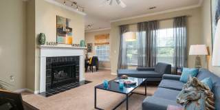 The Falls and Woods of Hoover Gallery 50