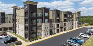 Alinea at Town and Country Gallery 1