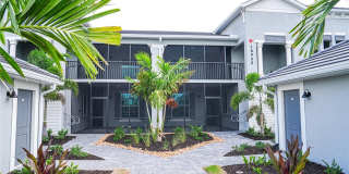 18923 SCALLOP Loop Gallery 1