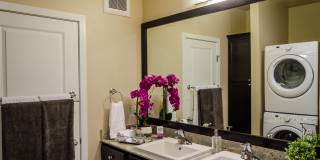 Siena Apartment Homes Gallery 11