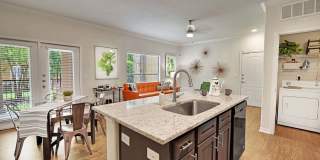 Austin City Lights Gallery 1