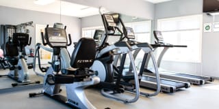 Ridgecrest Village Gallery 21