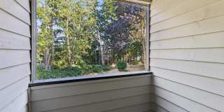Nickel Creek Gallery 16