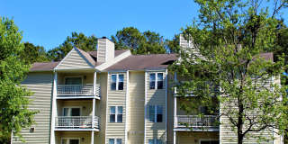 Bluff Ridge Gallery 2