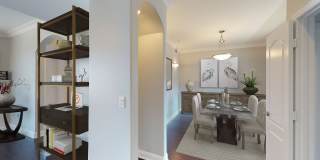 Vista Paradiso Gallery 22