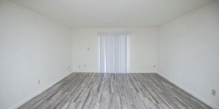 Brighton Apartments Gallery 5