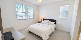 1482 Upland Sandpiper Street Gallery 34