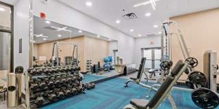 The Cosmopolitan Gallery 28