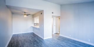 SITE Fifty55 Gallery 23