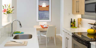 Regents Park Gallery 44