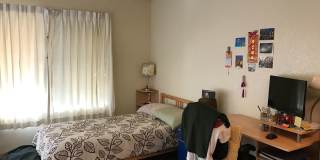 Stenner, 176 Gallery 15