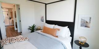 Wren on the Creek Gallery 18