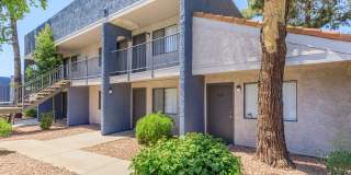 Rise Desert West Gallery 80