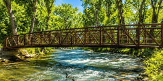 Riverwalk Gallery 3