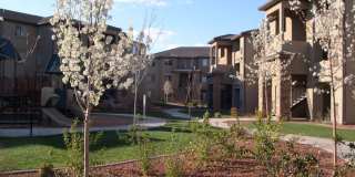 The Falls at Mesa Point Gallery 31