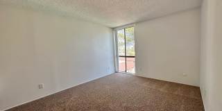 Upgraded 2 Bedroom Condo in San Carlos!!  Water/Sewer/Trash Included!! Gallery 5