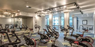 The Circle at Hermann Park Gallery 12