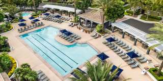 Homecoming At Terra Vista Gallery 1